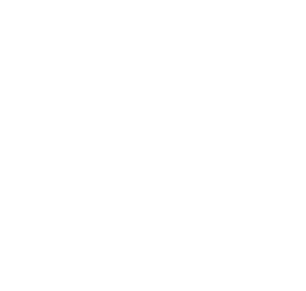 Miguel SH